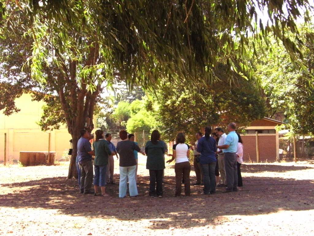 21 años de asesorías